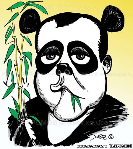 МЕДВЕД ПАНДА / Panda Bear / карикатура cartoon caricature