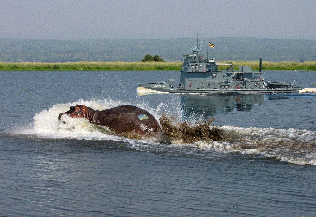 На озере Виктория потоплен ударный флагман флота Уганды речной монитор Кампала / боевые бегемоты