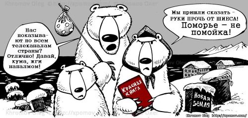 Polar bear on Novaya Zemlya islands Igor Orlov garbage Shees
