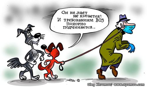 Covid 19, coronovirus, выгул собак, пандемия, локдаун, lockdown, ВОЗ